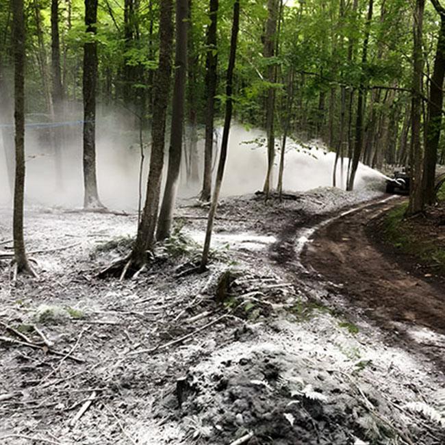 Contrôle anti-épidémiologique d'érablière Coaticook